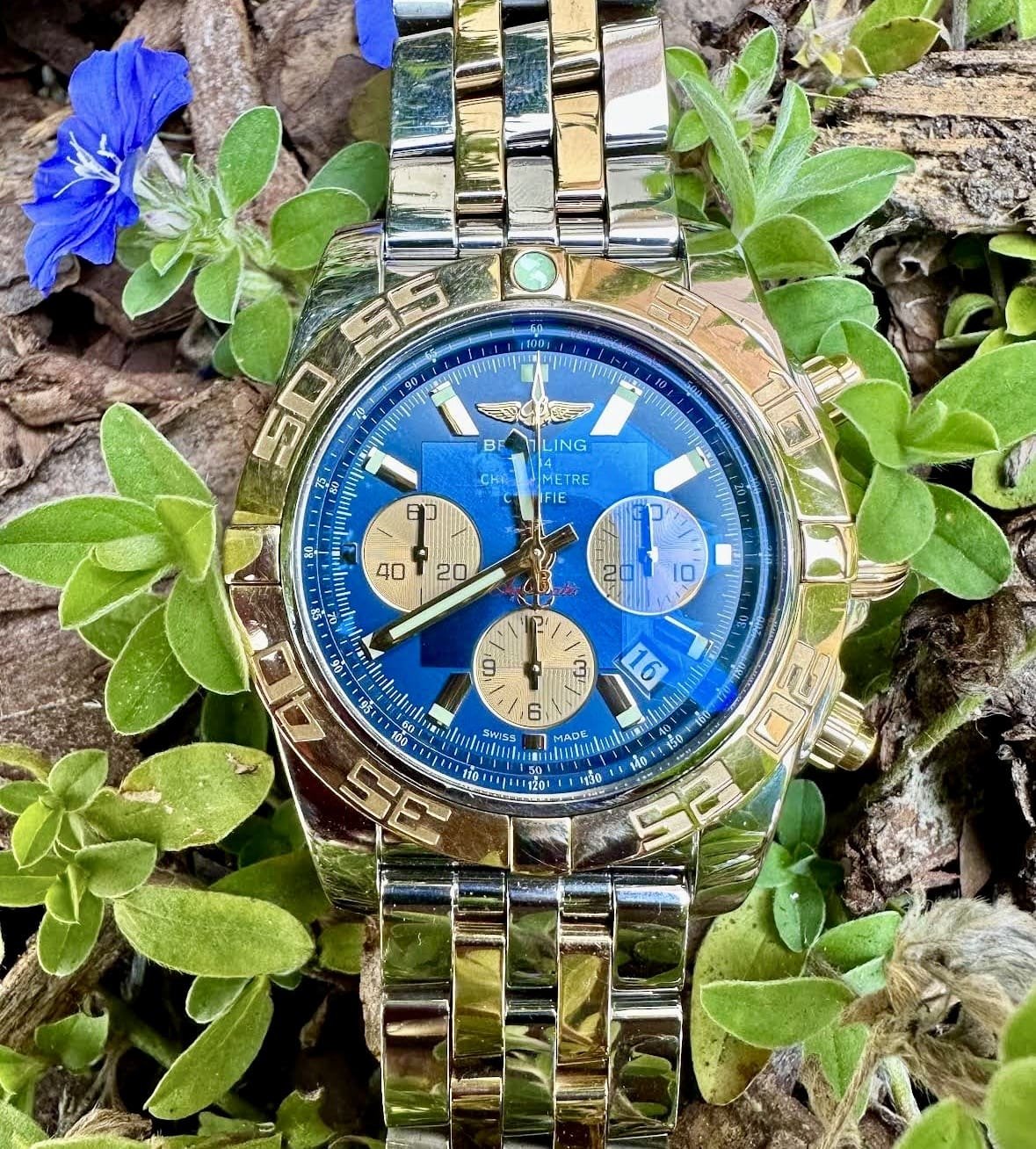 Luxurious, Timeless Watches Waiting For You 4 breitling watch